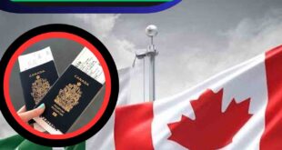 Top 4 Canadian Jobs With Visa Sponsorship